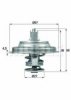 BEHR TX 97 79D Thermostat, coolant